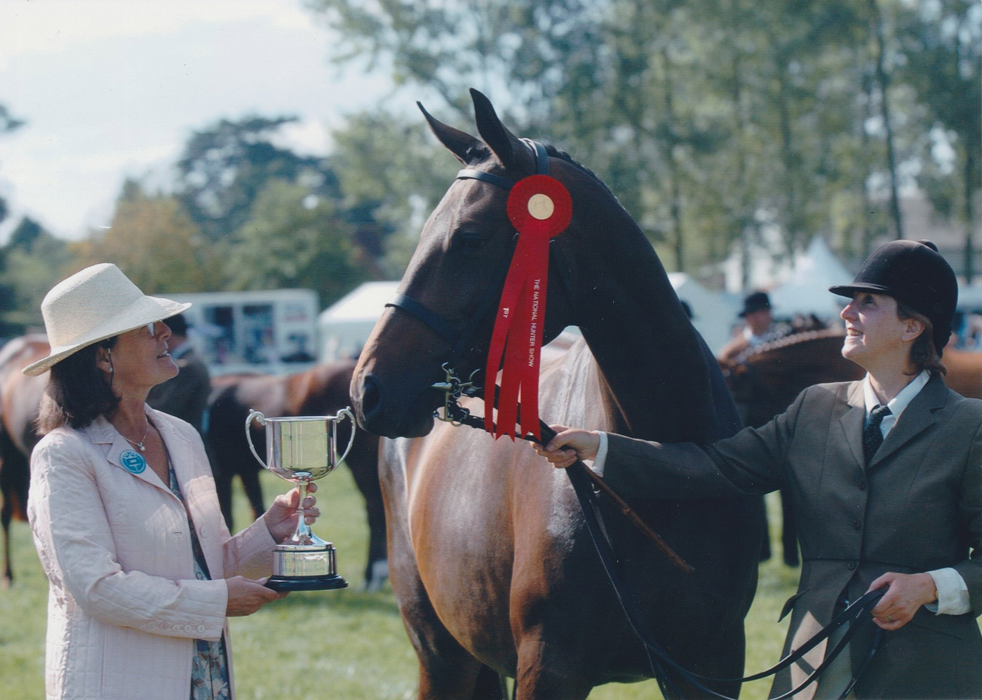 Mares Future Sport Horses