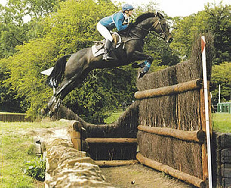 Cornish Faer - CCI5* eventer and dam of Future Cadence (and grand-dam of Lordships Graffalo)