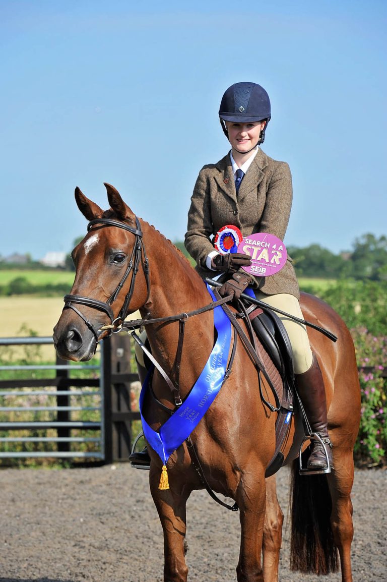 Dorissimo - Search For A Star Champion