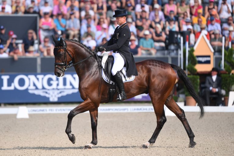 Fischerchipmunk FRH & Michael Jung - Olympic, World and European Champion - by Contendro I out of a Heraldik mare