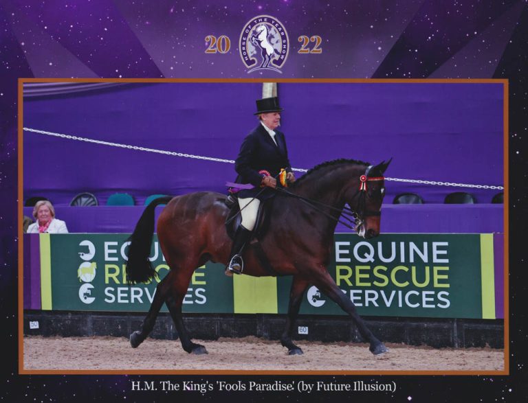 Fools Paradise - HOYS finalist bred by Queen Elizabeth II