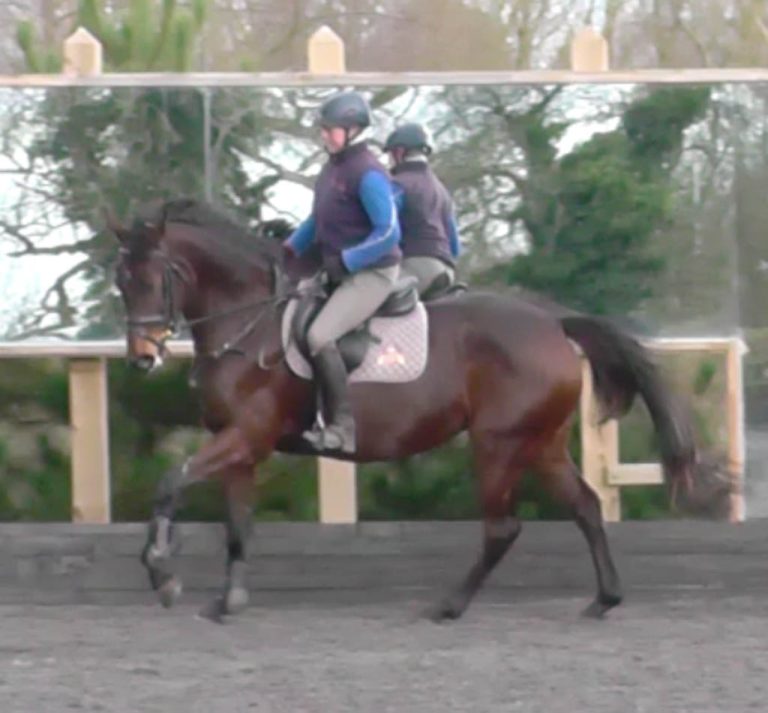 Future Coeur de Reine