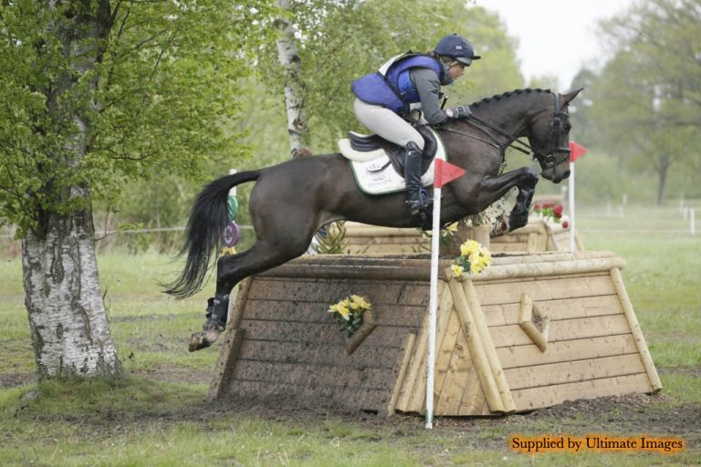 Heraldiks Girl Opposition - CCI3* eventer and maternal sister to Future Heresy