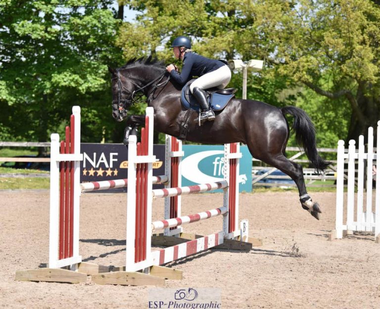 Hickstar-W - 4yr old SJ Champion and maternal brother to Future Heresy