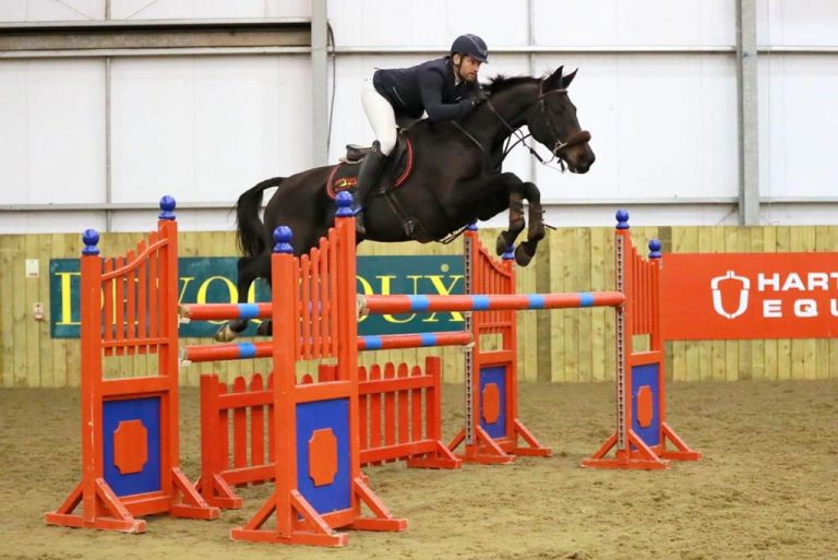 Uptown Girl - CCI3* eventer and maternal sister to Future Heresy