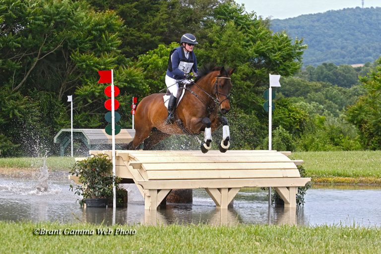 Arden Juju - CCI3* winner