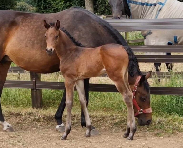 Future Indulgent Pleasure