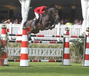 Herald 3 (Sire of Future Panache)