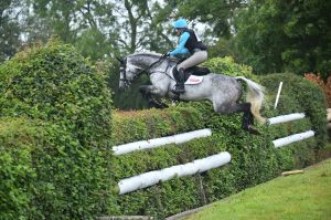 Future Guilty Pleasure - Stallion Licensing Champion & International eventer