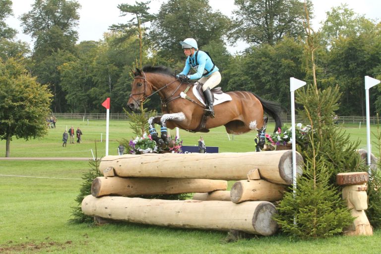 Springpower - CCI5* eventer - paternal brother to Future Prophecy