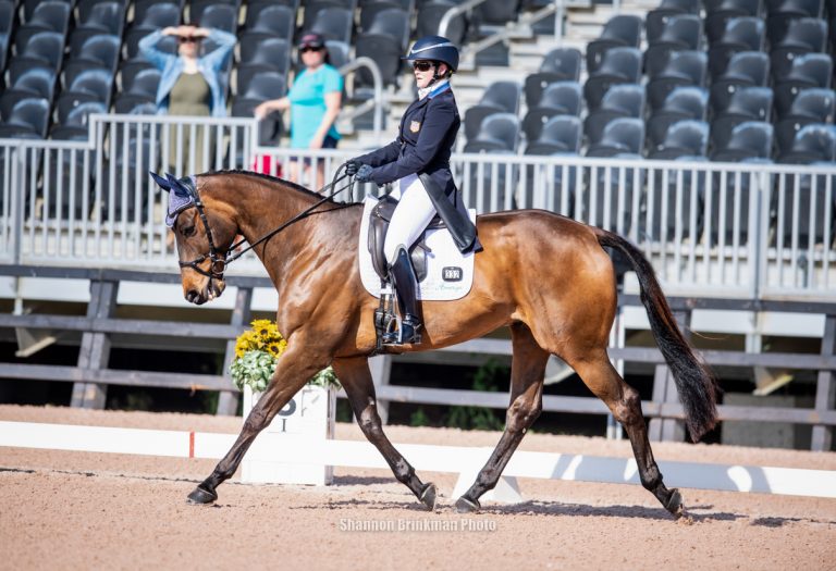 Arden Juju - CCI3* winner