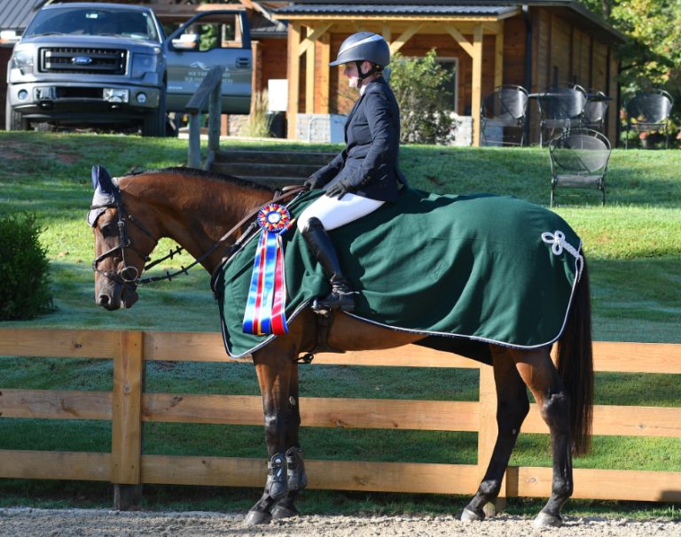 Arden Juju - CCI3* winner