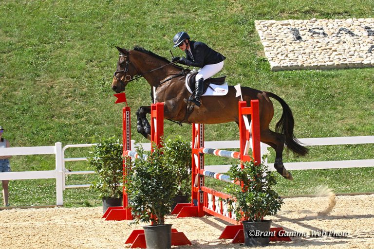 Arden Juju - CCI3* winner