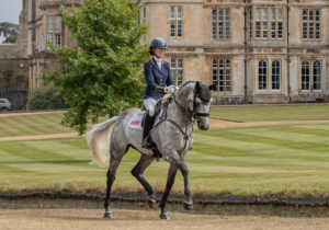 Future Guilty Pleasure