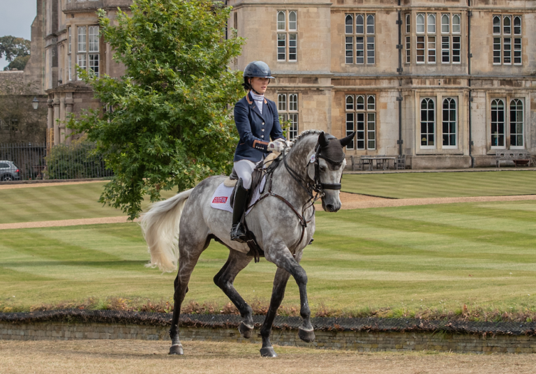 Future Guilty Pleasure