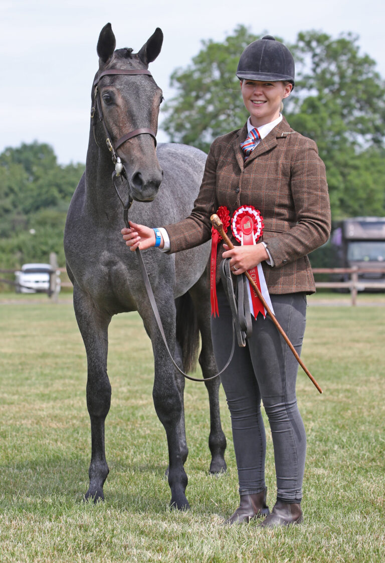 Barnwood Lunar Eclipse by Future Prophecy - County Show Champion