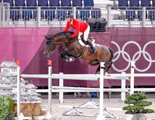 Don Diarado - Olympic showjumper and sire of Donthargos