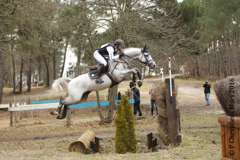 Upsilon - Nations Cup Gold medallist (sire of Future Hepsilon)
