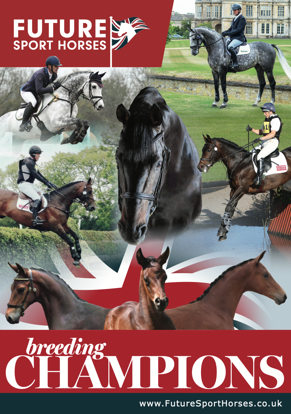 Future Sport Horses Brochure 2025