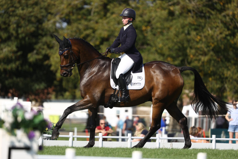 Valeroyal Secret Man - CCI4* eventer