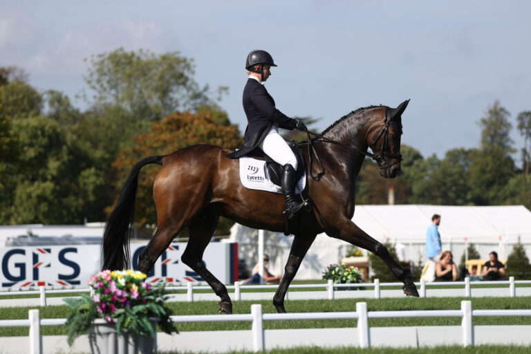 Valeroyal Secret Man - CCI4* eventer