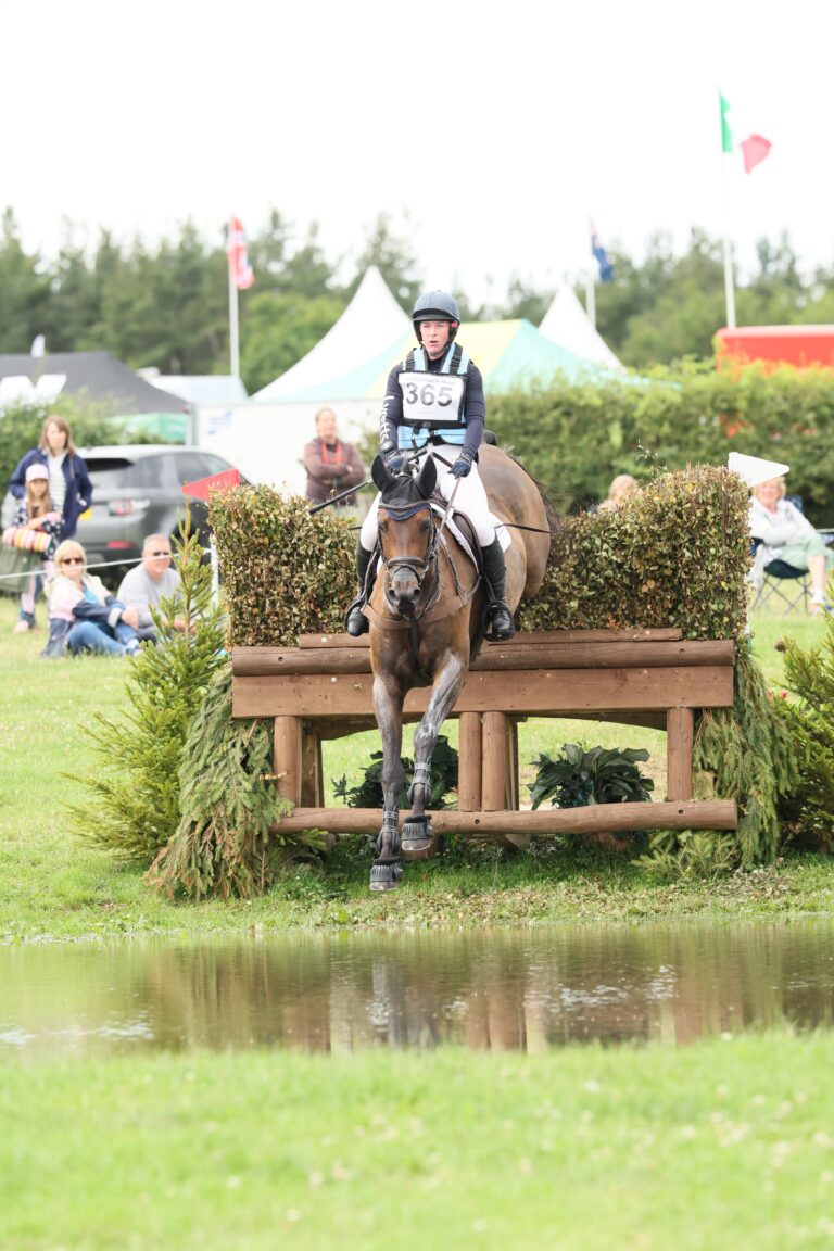 Valeroyal Secret Man - CCI4* eventer