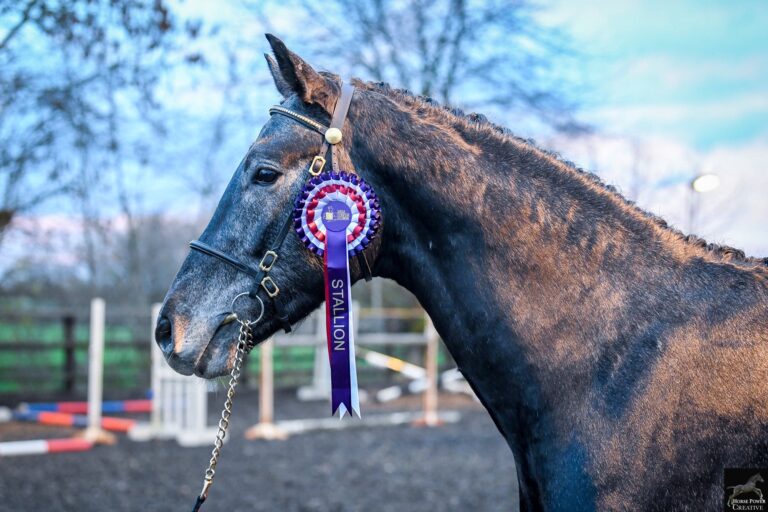 Future Quantum Pleasure