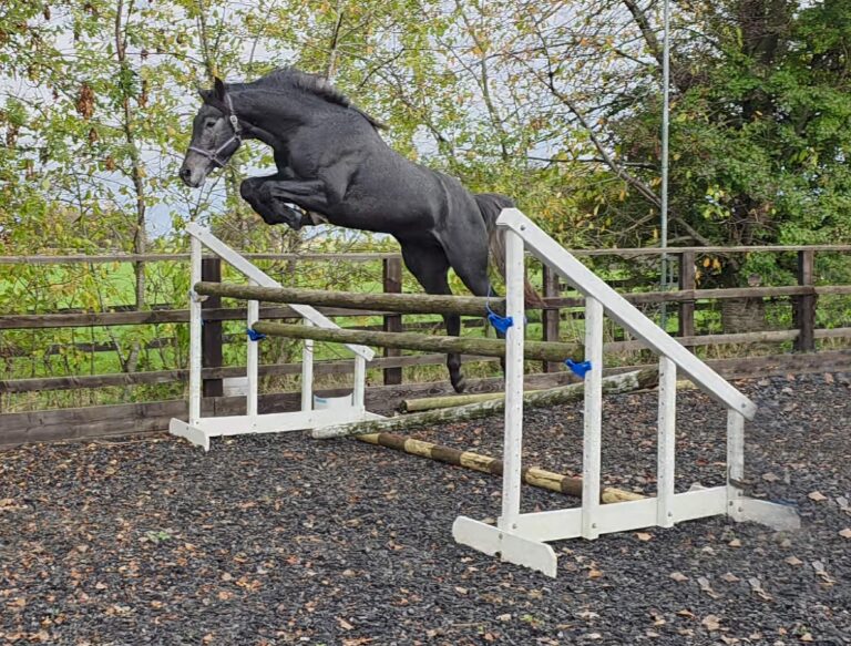 Future Quantum Pleasure