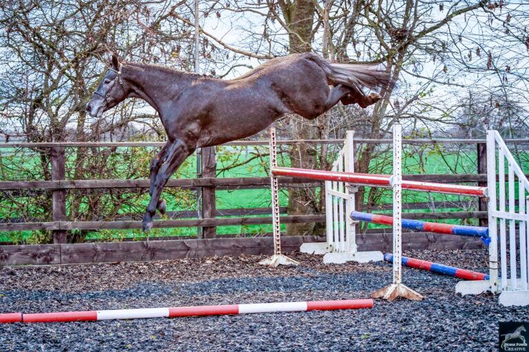 Future Quantum Pleasure