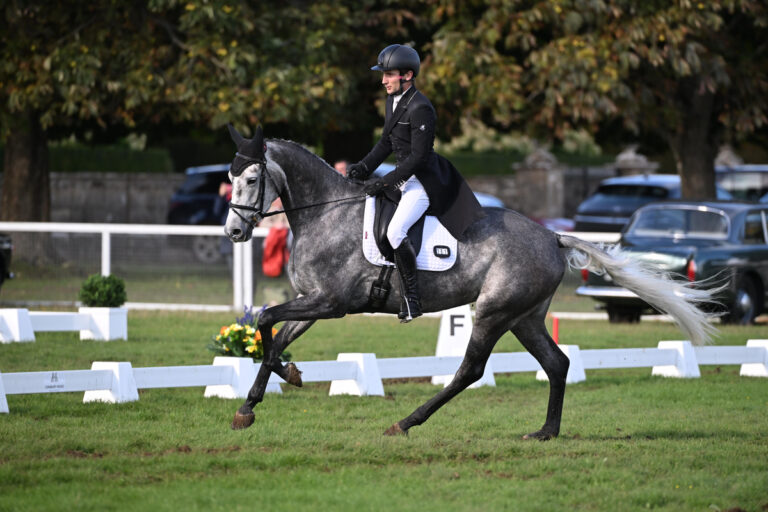 Future Cloudy Pleasure 6YO dressage